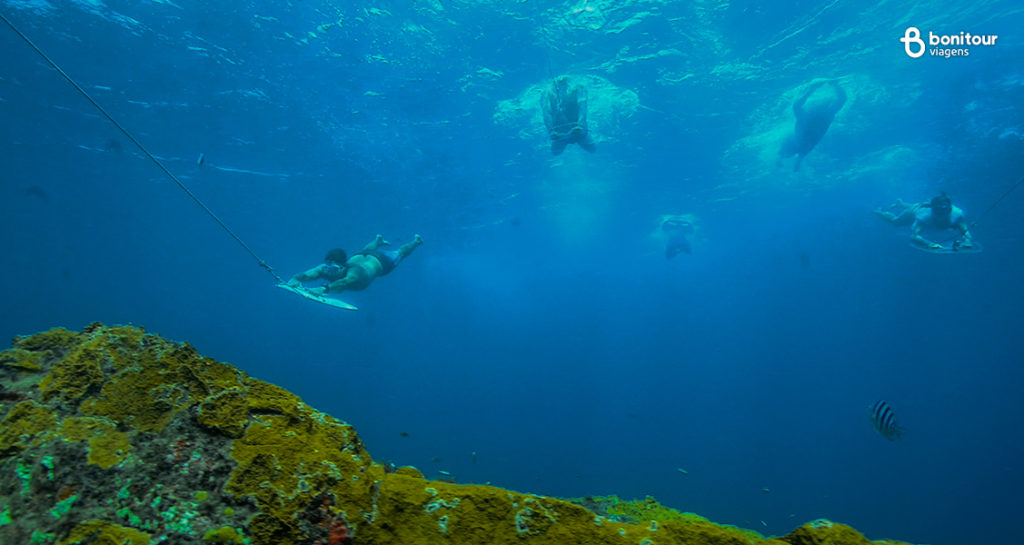 Mergulho a reboque - Planasub ou Aquasub