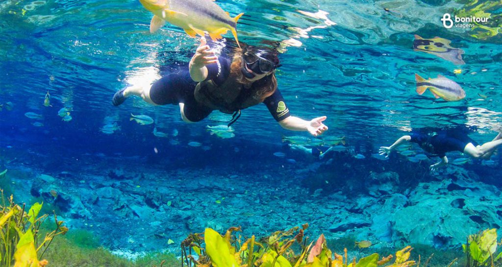 A Flutuação no Aquário Natural é um passeio imperdível para suas férias em Bonito/MS