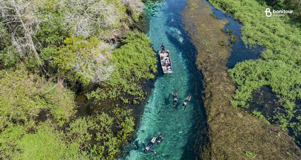 O Rio Sucuri é uma das grandes belezas que te espera em Bonito/MS em Março