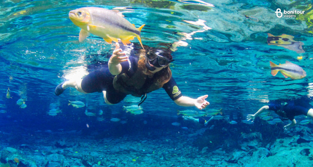 nadando-com-peixes - Bonito é um verdadeiro aquário natural para a observação de animais silvestres