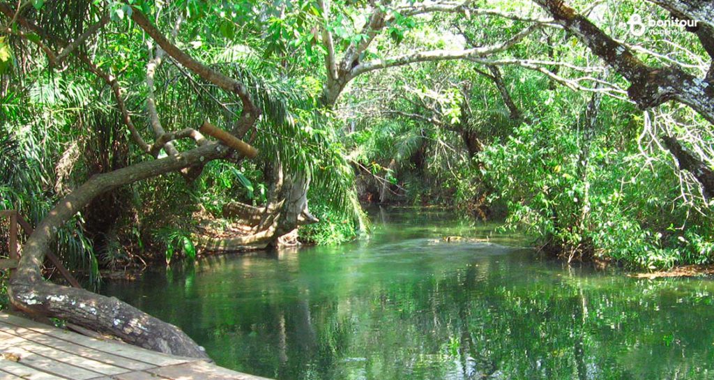 Rio Formoso e Vegetação nativa em Bonito/MS
