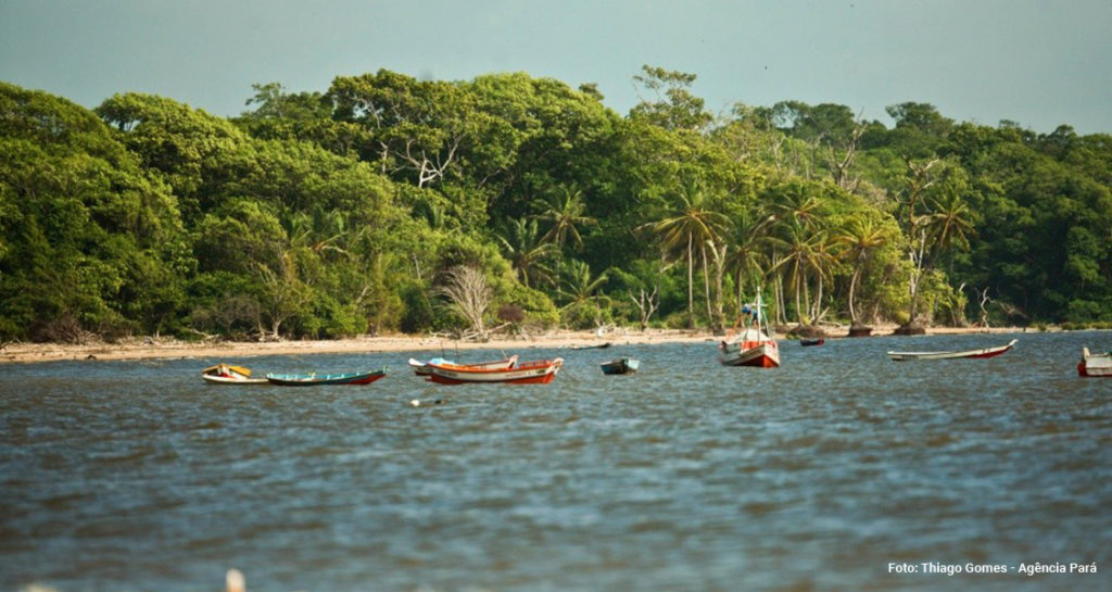 Ilha de Marajó/PA | Créditos Foto: Thiago Gomes – Agência Pará 
