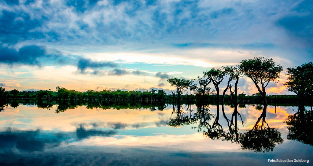 A Amazônia oferece inúmeras possibilidades para ecoturismo na região Norte do Brasil
