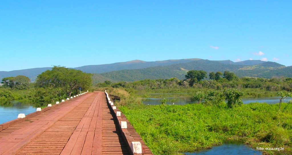 Estrada do Parque Pantanal