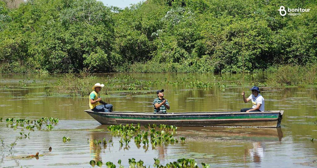 Quando visitar o Pantanal Sul?
