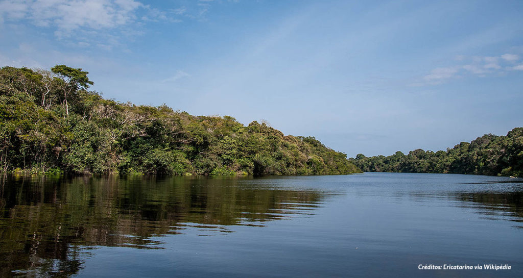 Conheça Anavilhas no Amazonas