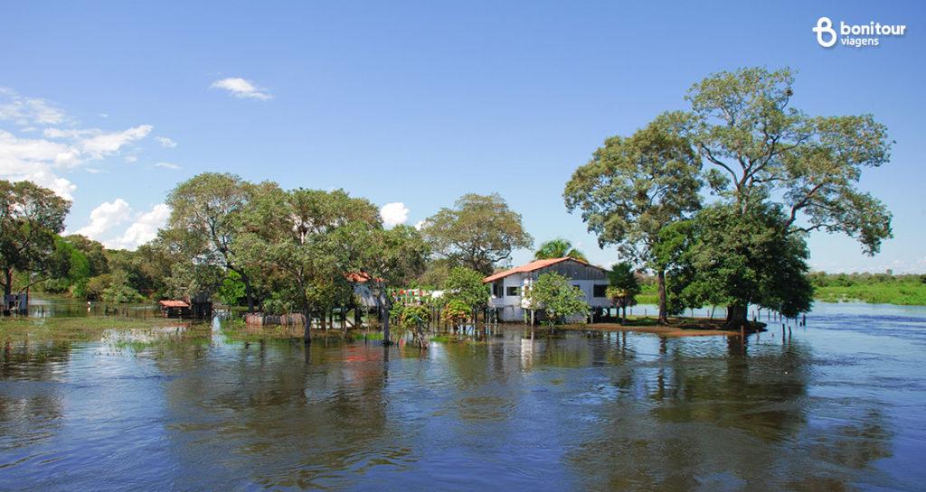 Qual é a melhor época para ir ao Pantanal - clima no destino