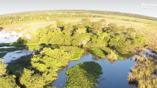 Hospedagem no Pantanal: confira as melhores dicas