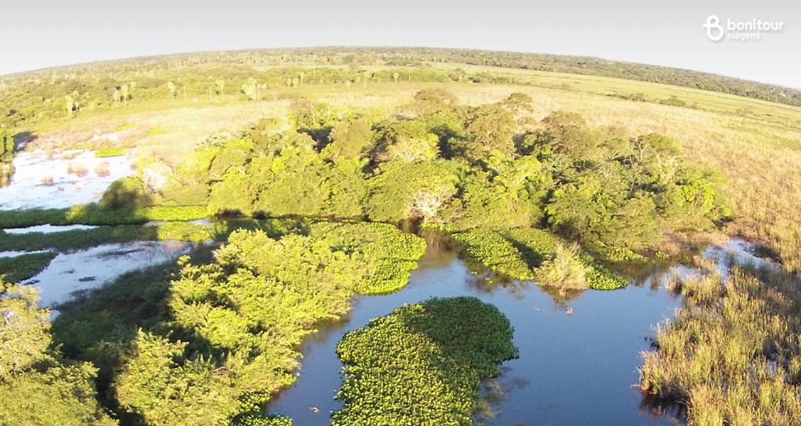 Hospedagem no Pantanal: confira as melhores dicas