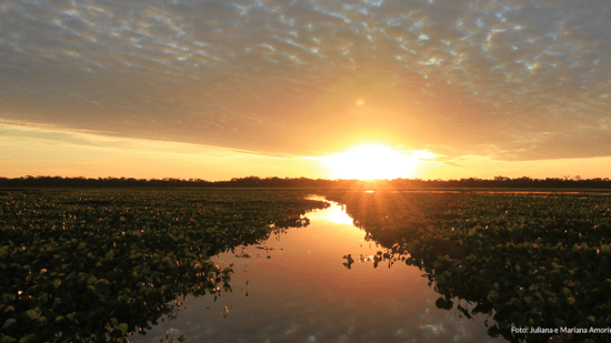 O que fazer no Pantanal