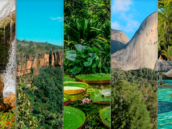 5 imperdíveis destinos de ecoturismo no Brasil