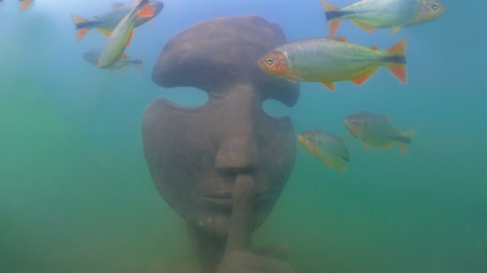 Conheça o museu subaquático de Bonito/MS: o primeiro museu de água doce do mundo