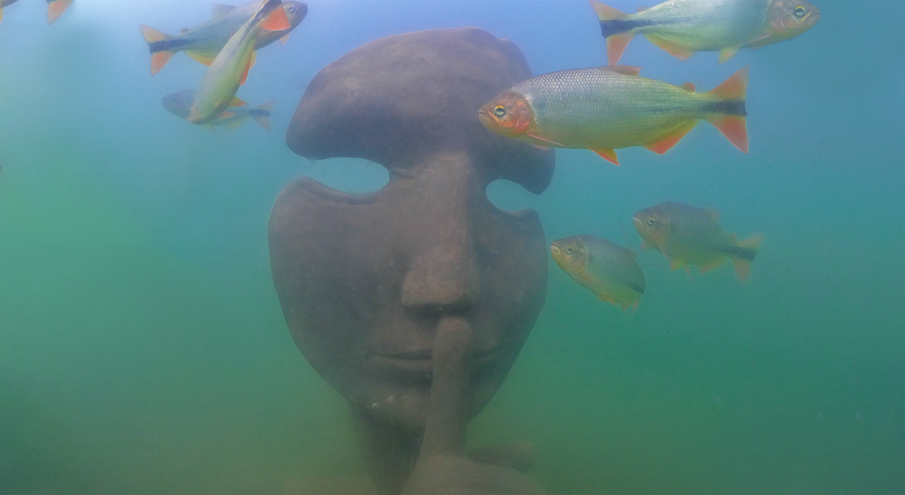 Conheça o museu subaquático de Bonito/MS: o primeiro museu de água doce do mundo