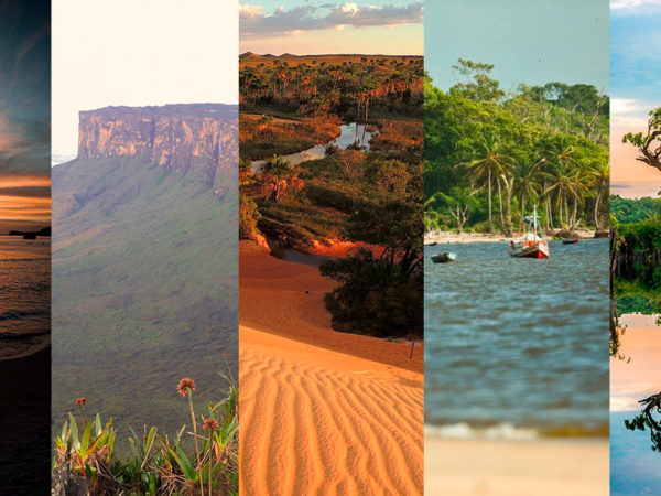5 destinos de ecoturismo na região Norte do Brasil