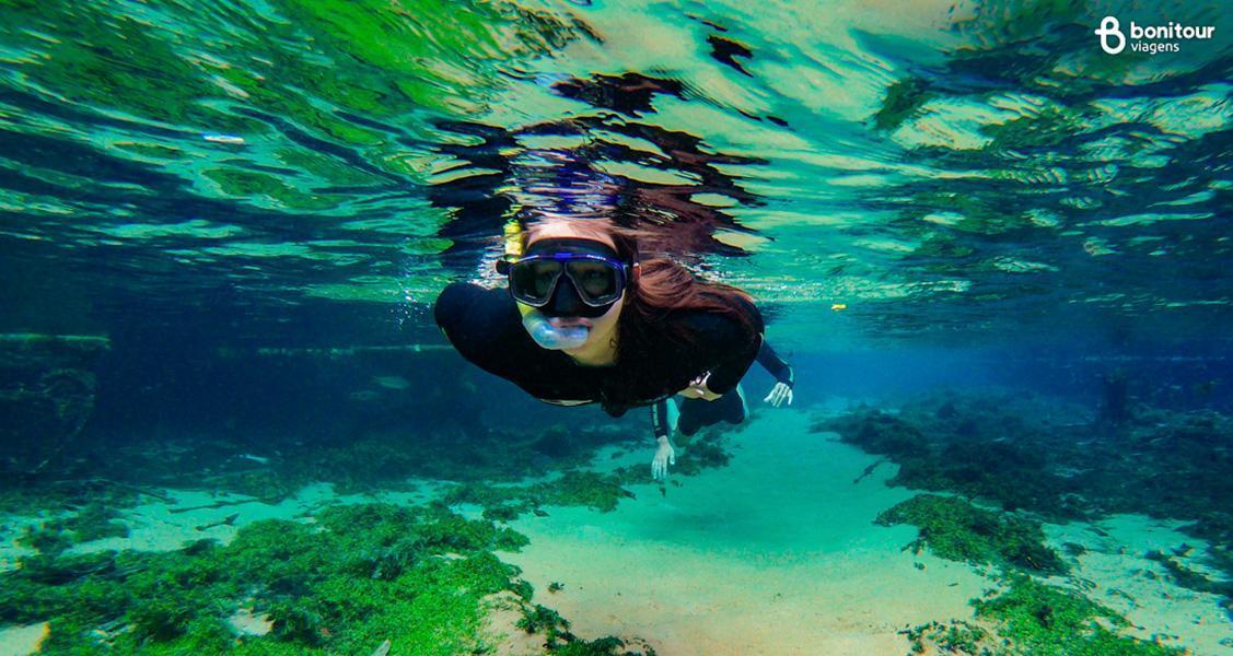 Quais as diferenças entre mergulho, snorkeling e flutuação?