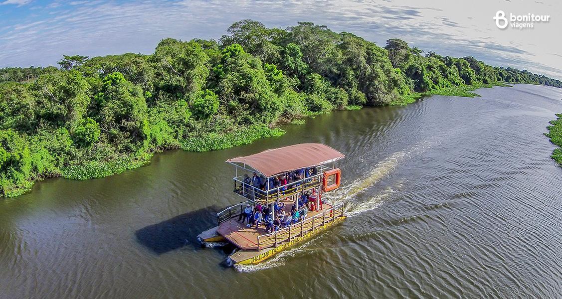 Conheça o Pantanal