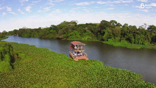 Tudo sobre o Pantanal