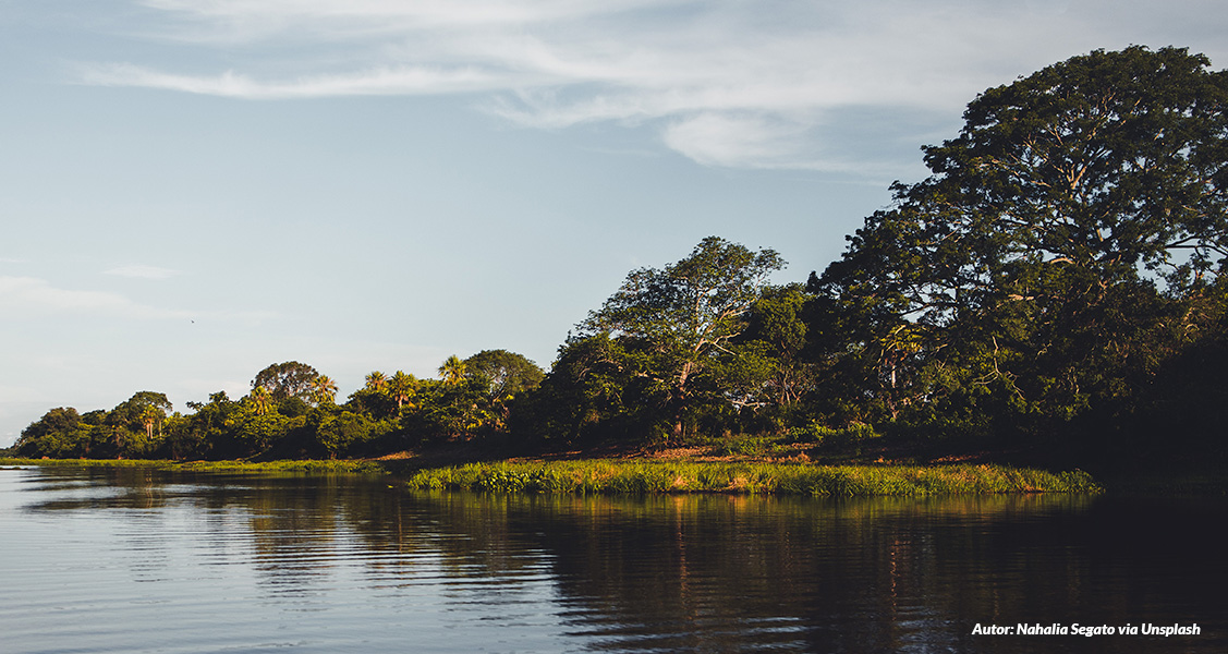 Saiba mais sobre o Pantanal no frio