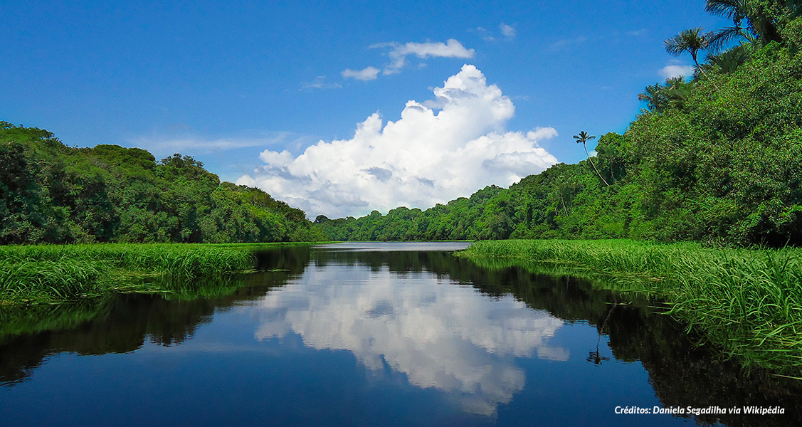 Conheça Novo Airão no Amazonas